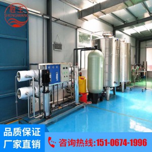反滲透純凈水設備 20噸過濾軟化地下水處理設備 勝王水處理