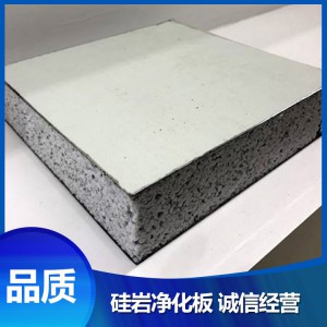 硅巖凈化板生產(chǎn)廠家 山東硅巖凈化板生產(chǎn)定制 直銷加工硅巖凈化板